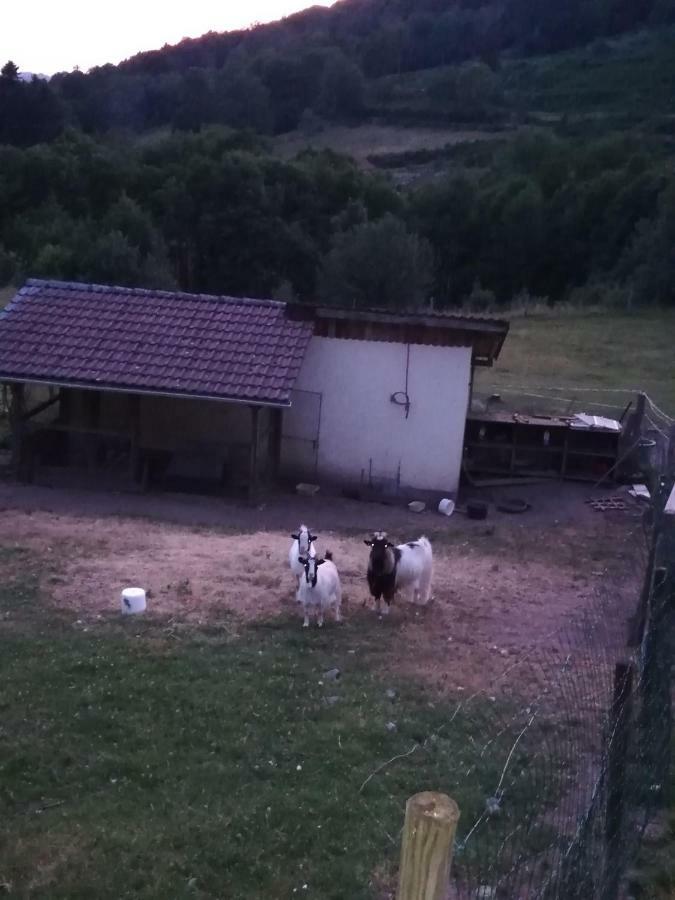 Ferme Auberge A La Colline Ferdrupt Exterior photo